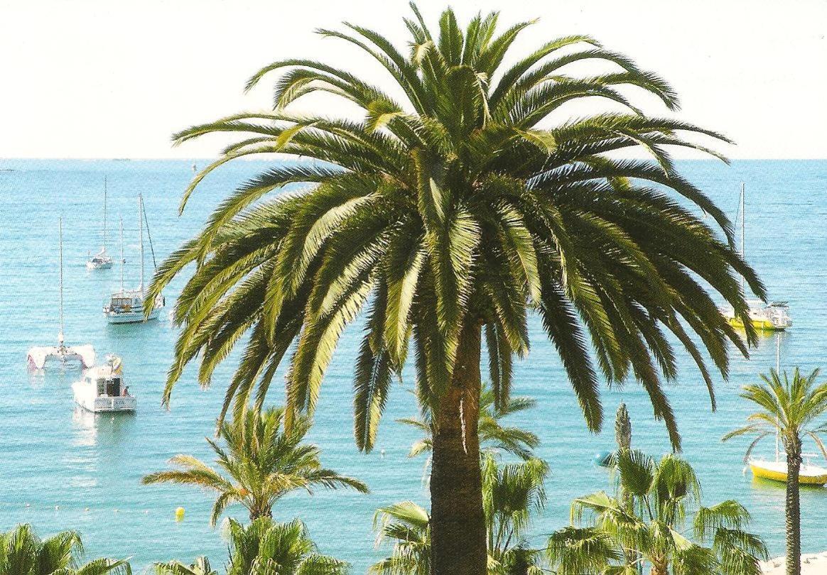 Апартаменты Studio Climatise. Proche Parking, Commerces Et Mer Каркеран Экстерьер фото